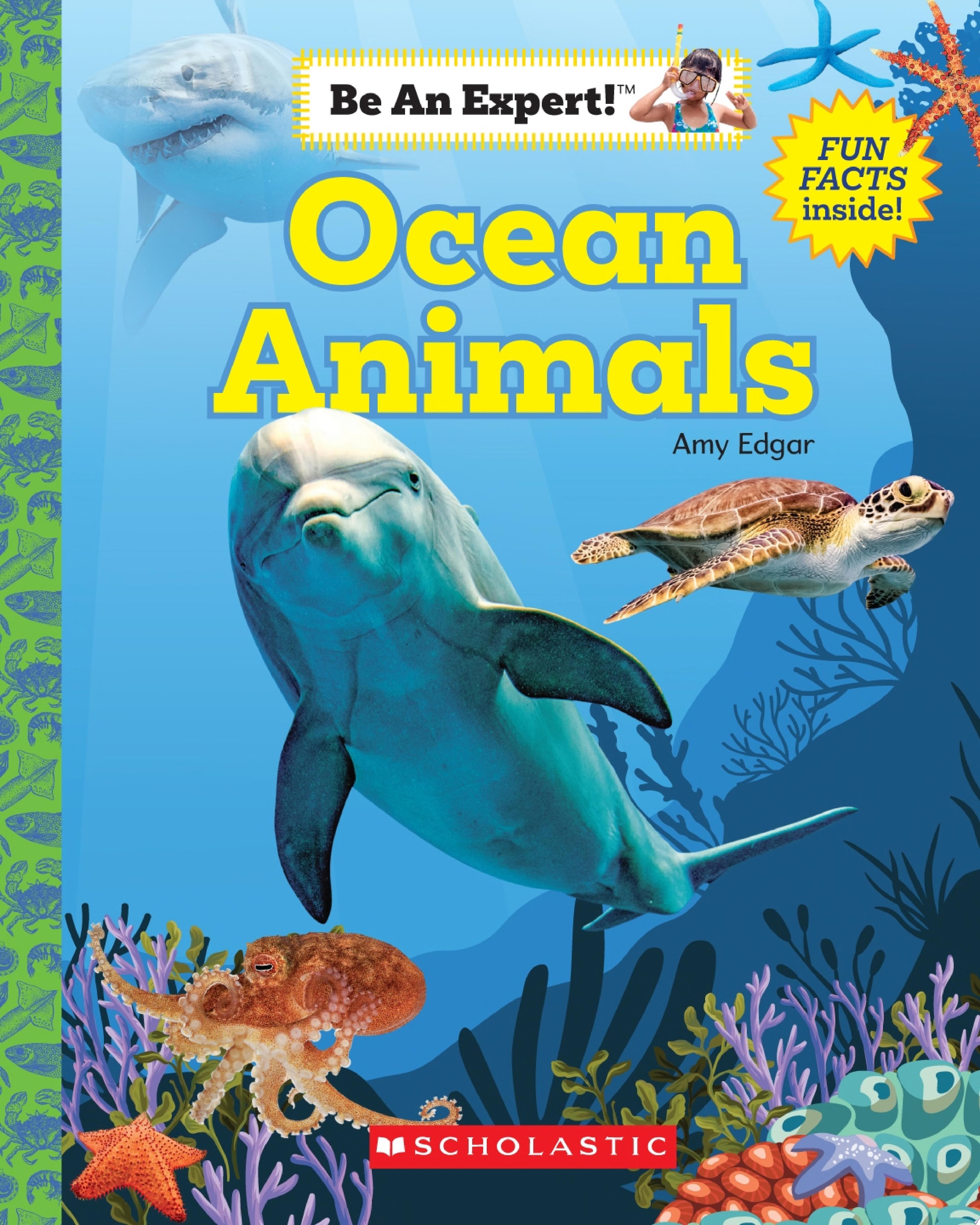 Image for "Ocean Animals (Be An Expert!)"