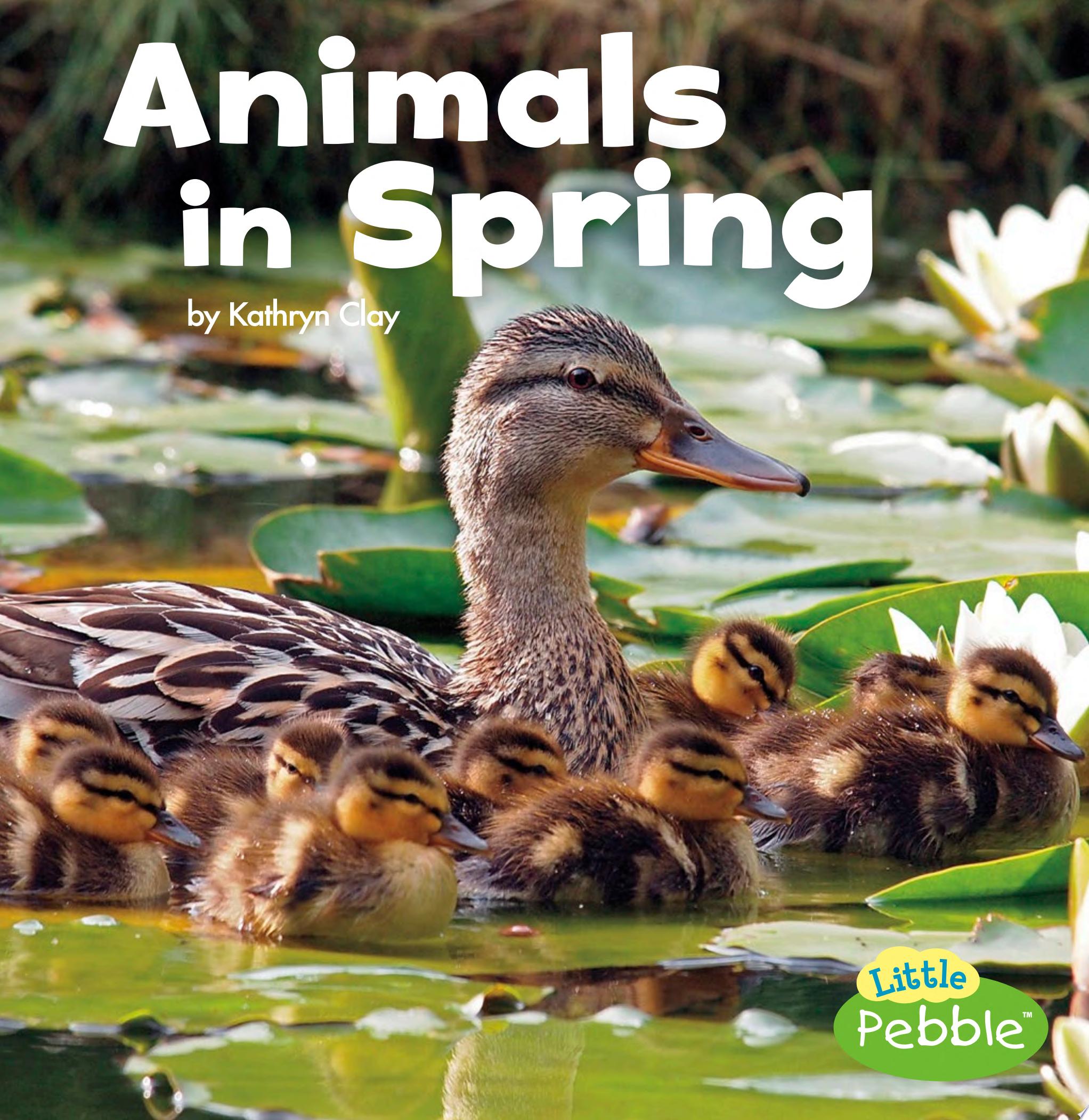 Image for "Animals in Spring"