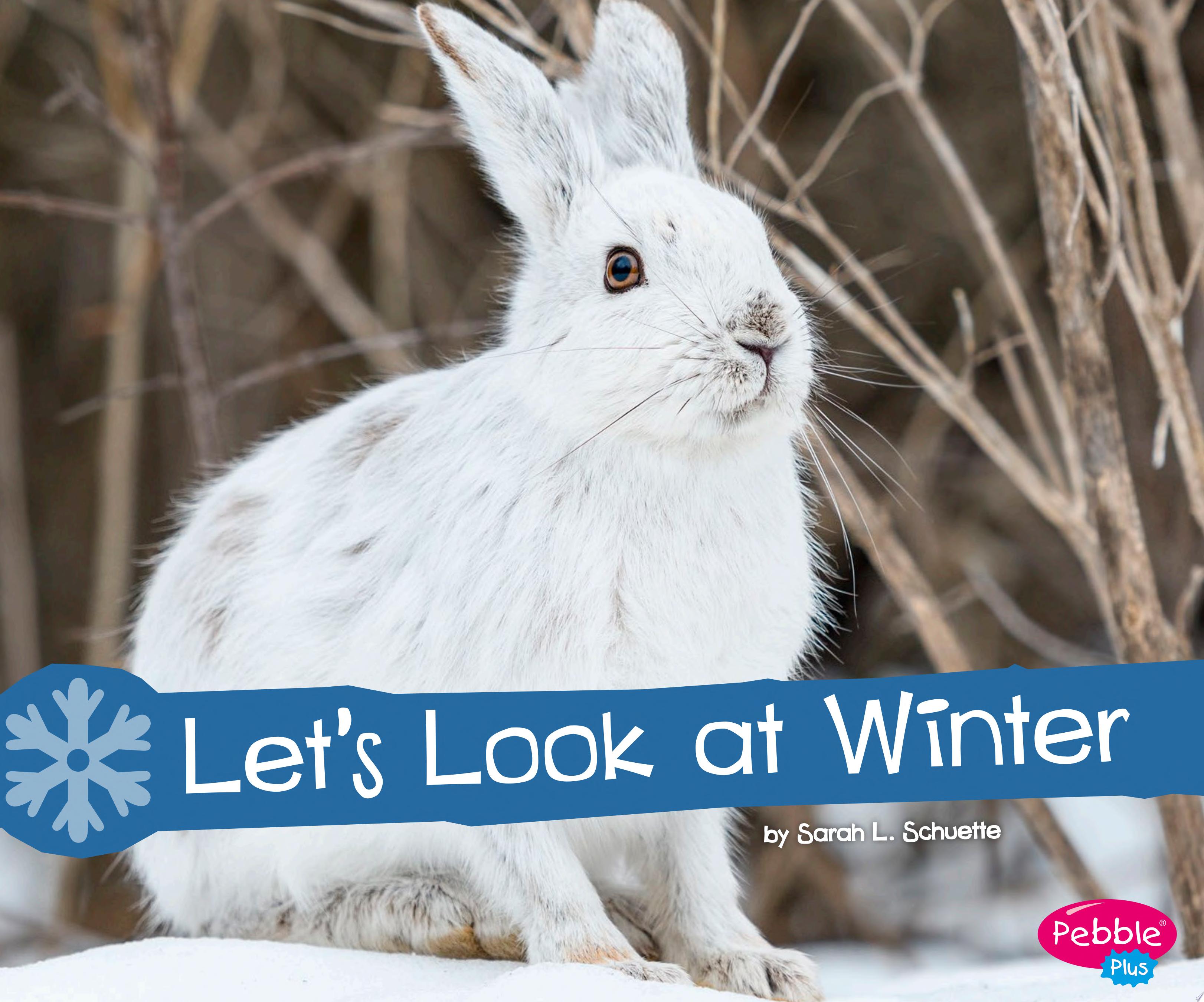 Image for "Let&#039;s Look at Winter"