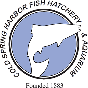 Cold Spring Harbor Fish Hatchery & Aquarium logo