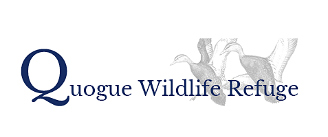 Quogue Wildlife Refuge