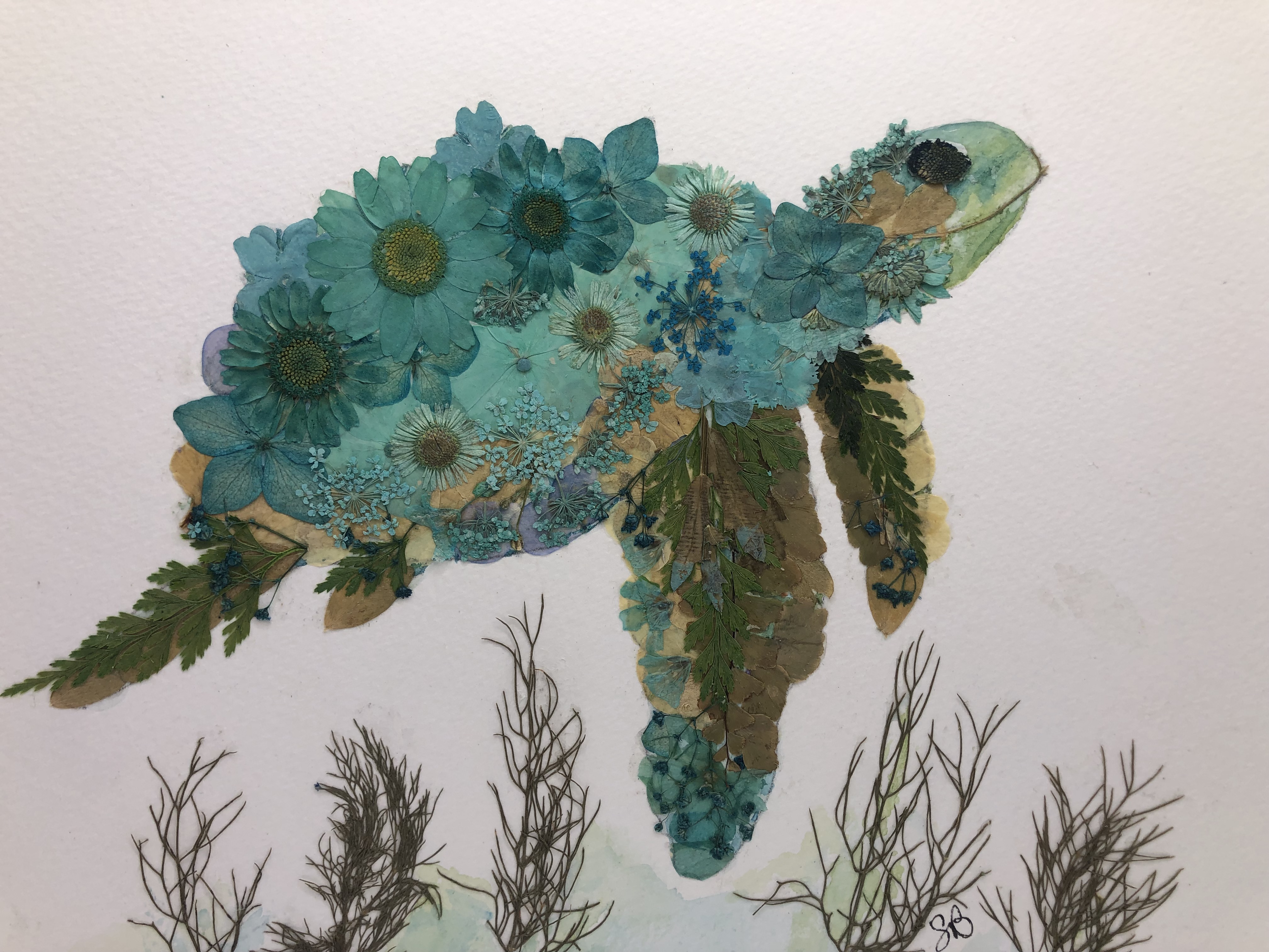 Sea turtle pressed flower art