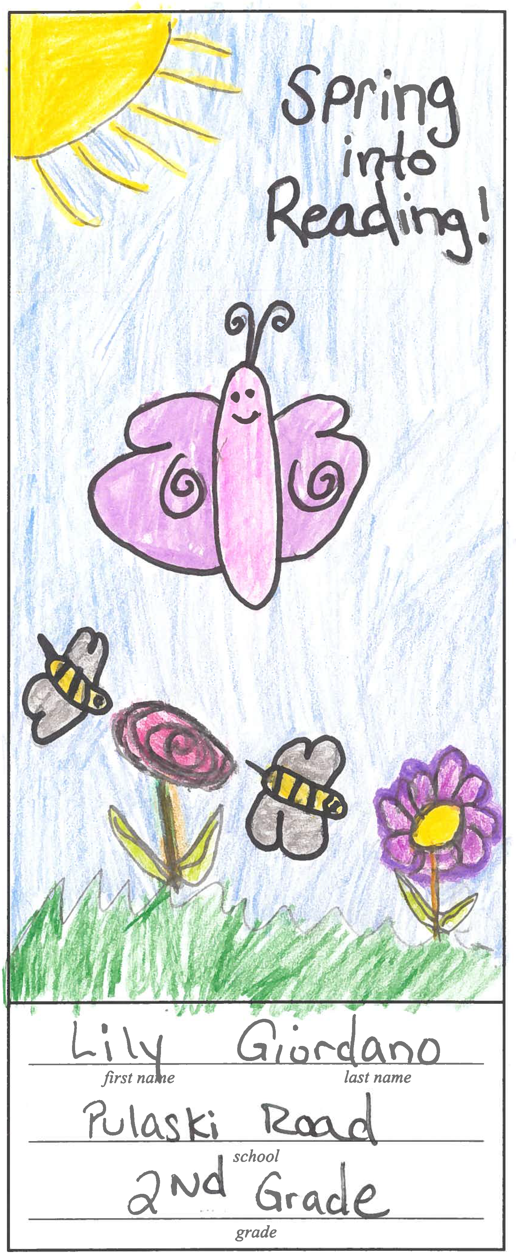 drawing butterflies and flowers