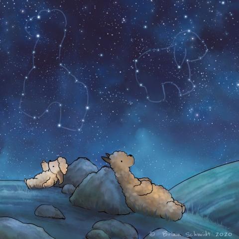 StarLab Animal Constellations