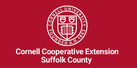 CCE of Suffolk County