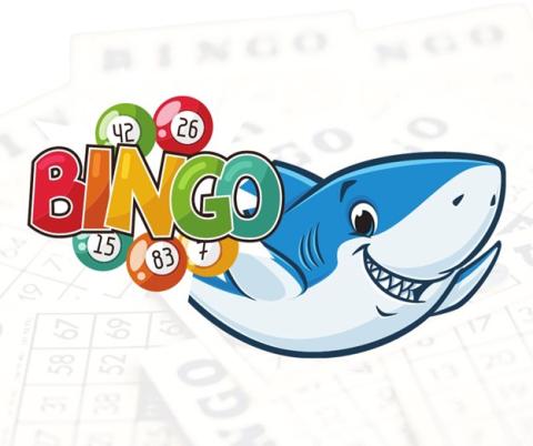 Shark Bingo