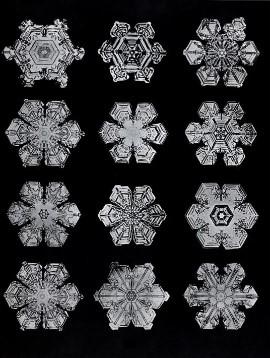 Snowflake