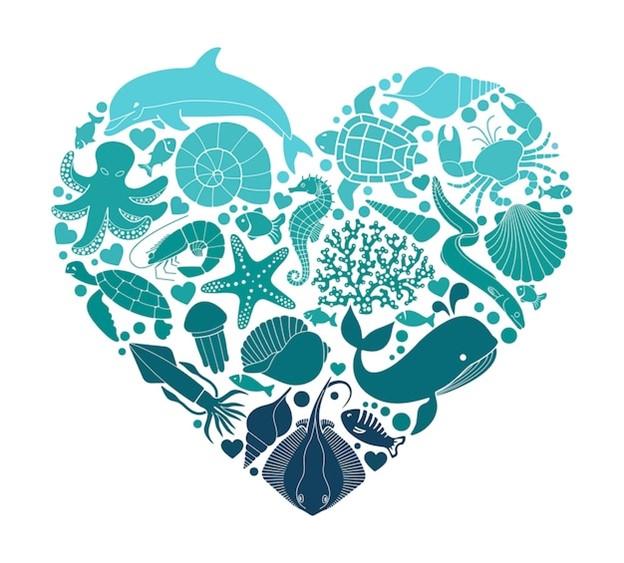 Caring for Marine Wildlife