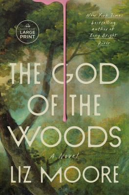 The God of the Woods book cover